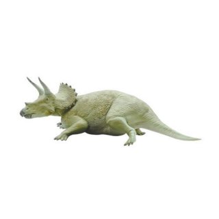 ε޴ ɥե奢 [2.ȥꥱȥץ Triceratops] ͥݥԲ ۡC