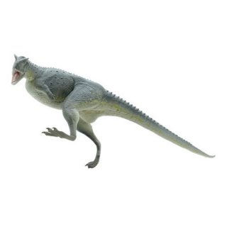 ε޴ ɥե奢 [5.Υ륹 Carnotaurus]ڥͥݥбۡC