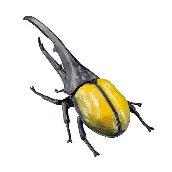 ビッグサイズ 世界の昆虫 パート3 1 ヘラクレスオオカブトa 彩色あり バンダイ ガチャガチャ カプセルトイ 通販