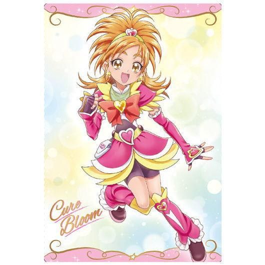 プリキュアカードウエハース3 22 キュアブルーム Sr カードのみ パッケージ及びお菓子は付属しません バンダイ 食玩 通販 プリキュアカードウエハース3 22 キュアブルーム Sr カードのみ パッケージ及びお菓子は付属しません バンダイ 食玩 通販