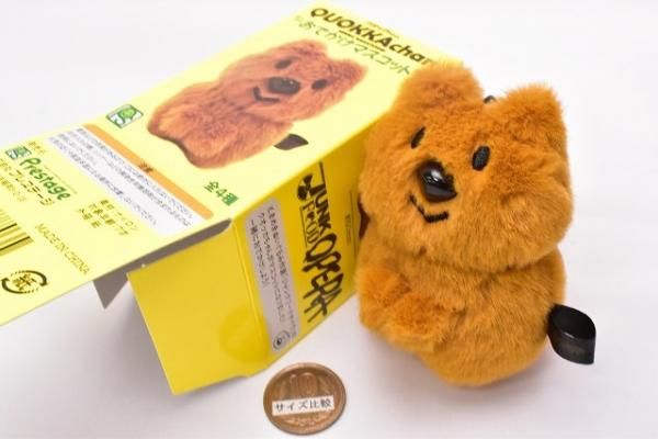 衝撃特価 クオッカちゃん おでかけマスコット ブラウン 39ba1653 買い最安 Cfscr Com