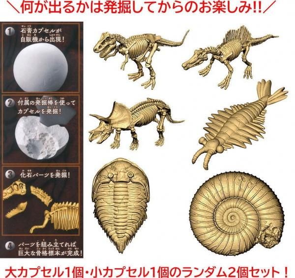 ガシャポンで発掘 恐竜化石 大カプセル1個 小カプセル1個のランダム2個セット 何が出るかは削ってからのお楽しみ バンダイ ガチャガチャ カプセルトイ 通販 ガシャポンで発掘 恐竜化石 大カプセル1個 小カプセル1個のランダム2個セット 何が出るかは削ってからのお楽しみ バンダイ ガチャガチャ カプセルトイ 通販