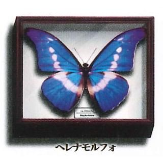 �������󥹥ƥ��˥��顼 �ɥ���Ȣ�ޥ��ͥåȥ��쥯����� [2.�إ�ʥ��ե�]�ڥͥ��ݥ������б��ۡ�C��