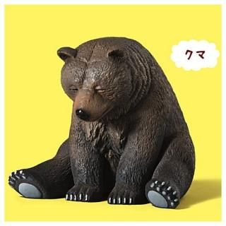 �ѥ���η� ZOO ZOO ZOO �Ҥޤʤο� Special color ver. [4.����]�� �ͥ��ݥ��Բ� �ۡ�C��