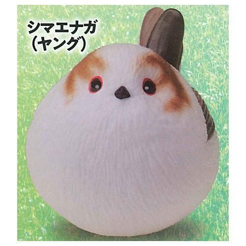 極楽はんどりんぐフィギュア 超愛でる系デフォルメちっくフィギュア 動物アイドル編 シリーズ3 5 シマエナガ ヤング あそび研究所365 ガチャガチャ カプセルトイ 通販 極楽はんどりんぐフィギュア 超愛でる系デフォルメちっくフィギュア 動物アイドル編 シリーズ3 5 シマエナガ ヤング あそび研究所365 ガチャガチャ カプセルトイ 通販