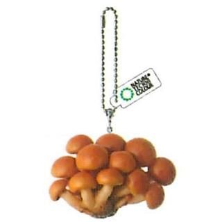 �ͥ����㡼�ƥ��˥��顼 MONO PLUS ���Υ����եȥޥ����å� [6.�ʥᥳ]�ڥͥ��ݥ������б��� ��C��