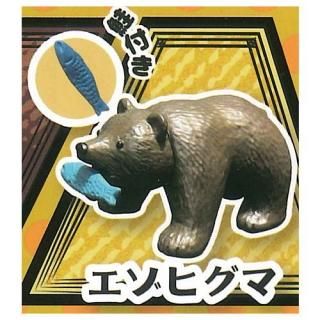 �٥���󥰥� [1.�����ҥ��� (���դ�)]�� �ͥ��ݥ��Բ� �ۡ�C��