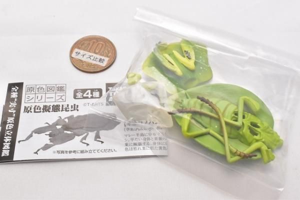 昆虫ガチャ標本風　3体セット 金色 緑色 ピンク色 Beetle ＆ Stag beetle Hunter 2023 