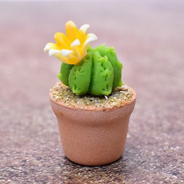 ミニチュアパーツ 鉢植えミニサボテン Ct24 1 12スケール M S ネコポス配送対応 C ガチャガチャ 食玩 通販 トイサンタ本店 フィギュア カプセルトイ ミニチュアパーツ 鉢植えミニサボテン Ct24 1 12スケール M S ネコポス配送対応 C ガチャガチャ 食玩 通販 トイサンタ本店 フィギュア カプセルトイ