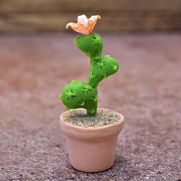 サボテン J ミニチュアパーツ 鉢植えミニサボテン [CT29] (1/12スケール) [m-s