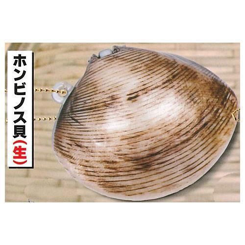 開く 蓋付き ぷにゅぷにゅ貝マスコット3 江戸前新名物登場 編 1 ホンビノス貝 生 トイズスピリッツ ガチャガチャ カプセルトイ 通販 開く 蓋付き ぷにゅぷにゅ貝マスコット3 江戸前新名物登場 編 1 ホンビノス貝 生 トイズスピリッツ ガチャガチャ カプセルトイ 通販
