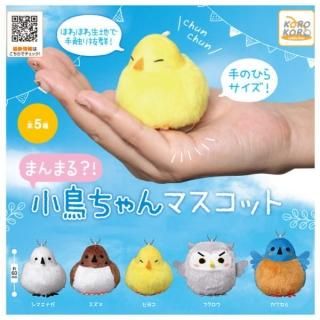 ������·�äƤޤ�!!�ۤޤ�ޤ�?! ��Ļ�����ޥ����å� [��5�糧�å�(�ե륳���)]�� �ͥ��ݥ��Բ� �ۡ�C��