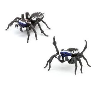 ޴ ԡåѥ [4.ڥ륽ʡ()] ͥݥԲ ۡC