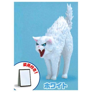 �Ѹ�vsǭ [3.�ۥ磻��]�� �ͥ��ݥ��Բ� ��