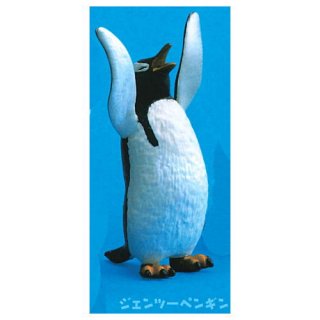 バンザーイ！ペンギン [4.ジェンツーペンギン]【ネコポス配送対応】【C】