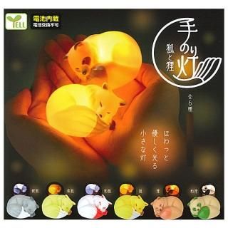 ·äƤޤ!!ۼΤ Ѥì [6糧å(ե륳)] ͥݥԲ ۡC