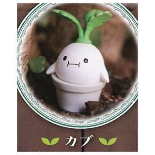 �ޥ�ɥ쥤�� ���쥯����� [3.����]�ڥͥ��ݥ������б��ۡ�C��