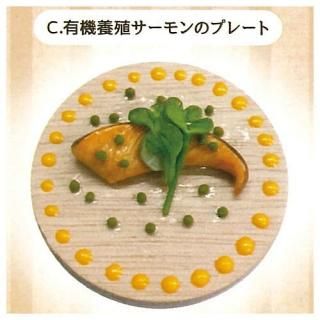 �������˥å��쥹�ȥ��Υ��ץ졼�ȥ��� [3.ͭ���ܿ��������Υץ졼��]�ڥͥ��ݥ������б��ۡ�C��