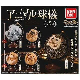 ·äƤޤ!!ۥ˥ޥ嵷 [5糧å(ե륳)] ͥݥԲ ۡC