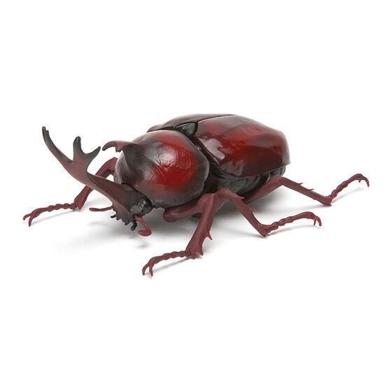 【絶品】 いきもの大図鑑 かぶとむし02 [5.レア:ヤマトカブトムシ(レッド 生き物