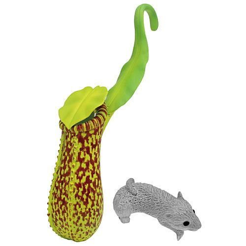 巨大花と食虫植物 4 ウツボカズラ B タカラトミーアーツ ガチャガチャ カプセルトイ 通販