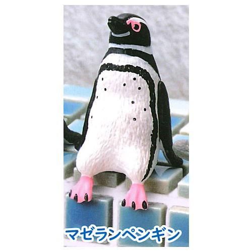 ふちやすみ ペンギン [4.マゼランペンギン] エール ガチャガチャ