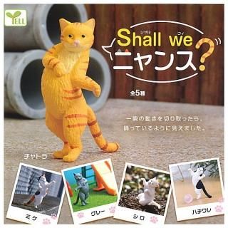 ������·�äƤޤ�!!��shall we �˥�󥹡� [��5�糧�å�(�ե륳���)]�ڥͥ��ݥ������б��ۡ�C��