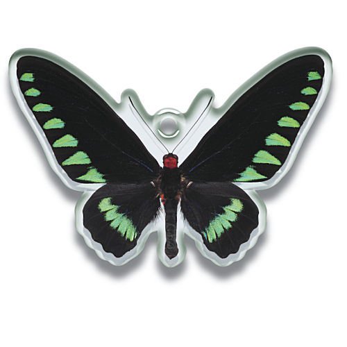 サイエンステクニカラー 鱗翅学者の私的標本 アクリルマスコット2(再販) [1.アカエリトリバネアゲハ] いきもん ガチャガチャ カプセルトイ 通販