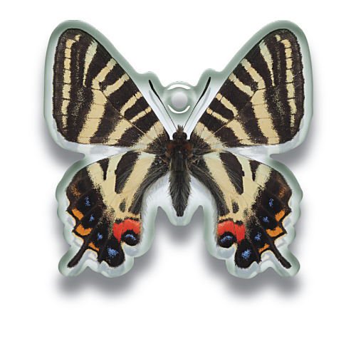 サイエンステクニカラー 鱗翅学者の私的標本 アクリルマスコット2 再販 10 ギフチョウ いきもん ガチャガチャ カプセルトイ 通販