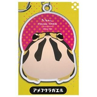 reptile  amphibian (ξ) ޥåȥۥ [1.ե饬]ڥͥݥбۡC