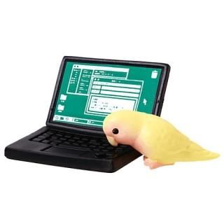 ƥ ޥ [5.饤(ʥ)ȥΡȥѥ]ڥͥݥбۡC