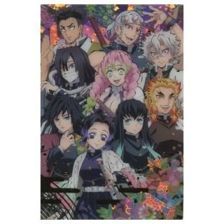 ���Ǥο� �����ϡ���5 [��������å�2]�ڥͥ��ݥ������б��ۡ�C��