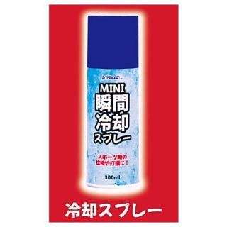 ���ץ졼�ޥ����å� [2.��ѥ��ץ졼]�ڥͥ��ݥ������б��ۡ�C��