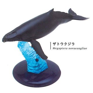 ネイチャーテクニカラー400 クジラとイルカ [1.ザトウクジラ]【ネコポス配送対応】【C】