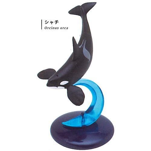 ネイチャーテクニカラー400 クジラとイルカ [3.シャチ],いきもん