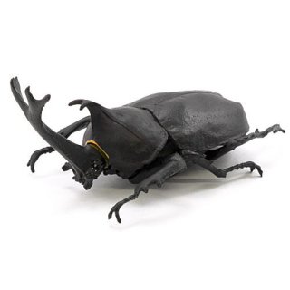 昆虫ハンター カブトムシ×クワガタ 2022 [1.カブトムシ(黒)]【 ネコポス不可 】
