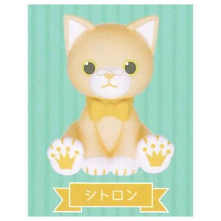 Ρץ󥹤ޤâ PRINCE CAT եӥ쥯 [3.ȥ] ͥݥԲ ۡC