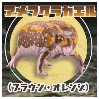 1/1 ե饬Сͥᥬ [2.ե饬 (֥饦󡦥)] ͥݥԲ ۡC