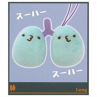 �ʤ��������� �� �����ܤ�����󡣥ޥ����å� [2.��]�ڥͥ��ݥ������б��ۡ�C��