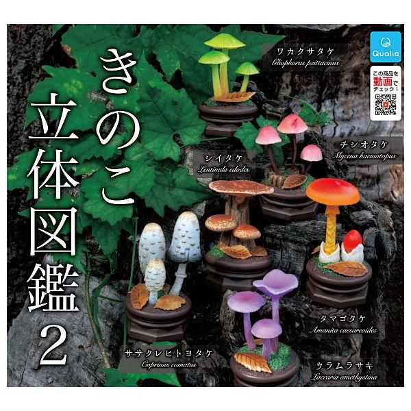 きのこ立体図鑑　全6種　コンプリートセット　ガチャ 全部揃ってます!!】きのこ立体図鑑2 [全6種セット(フルコンプ