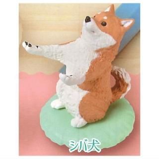 ¤ꤷޤ [2.и] ͥݥԲ ۡC