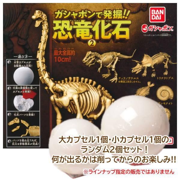 ガシャポンで発掘！恐竜化石2 [大カプセル1個・小カプセル1個の