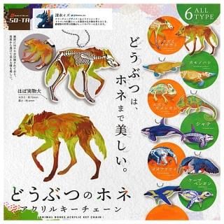 ·äƤޤ!!ۤɤ֤ĤΥۥ 륭 [6糧å(ե륳)]ڥͥݥбۡC