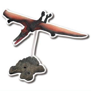 ����饷�å������� �ե����奢���쥯����� [2.�ץƥ�Υɥ�]�ڥͥ��ݥ������б��ۡ�C��