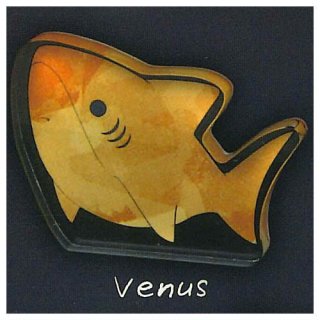 줪ʤ shark collection ľΩޥå [3.Venus]ڥͥݥбۡC