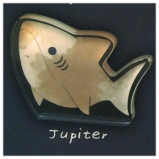 줪ʤ shark collection ľΩޥå [5.Jupiter]ڥͥݥбۡC
