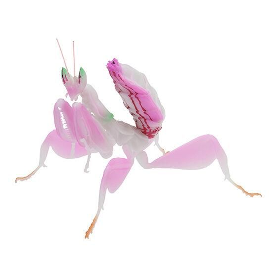 いきもの大図鑑 かまきり03 [1.ハナカマキリ(ピンク)],バンダイ