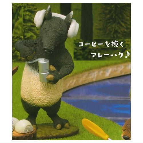 Amazon.co.jp: 朝隈俊男のアニマルキャンプ アニ キャン part.4