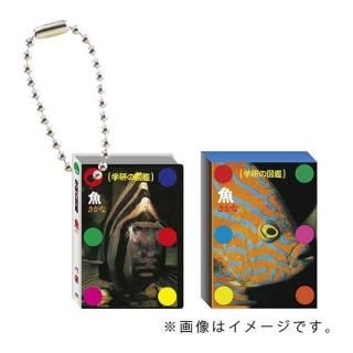 �ظ��ο޴� �޴շ��ߥ˥��奢�ե����奢���㡼�� [3.��]�ڥͥ��ݥ������б��ۡ�C��