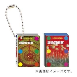 ظο޴ ޴շߥ˥奢ե奢㡼 [7.ѻ]ڥͥݥбۡC